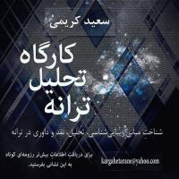 سعید کریمی: اغلب ترانه سراها به لحاظ ِ آکادمیک، بی سواد هستند و نمی توانند چیزی آموزش بدهند