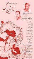 «محسن صیرفی» آلبوم «نازنین گل» را به بازار عرضه کرد